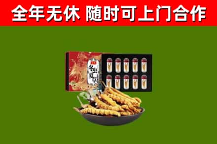 郎溪烟酒回收冬虫夏草礼盒.jpg