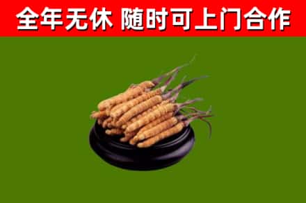 郎溪烟酒回收冬虫夏草.jpg